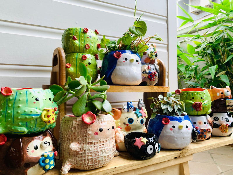 Shop Update - 24.11.21