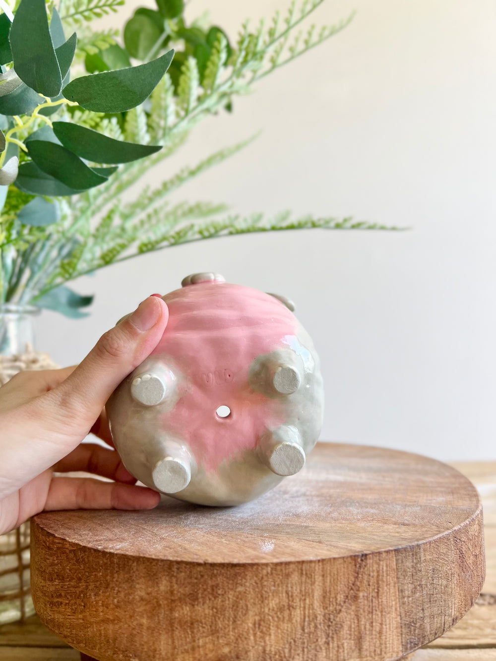 MOO DENG Small planter #3, photo 10 of 13