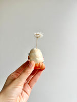 Bud vase magnet