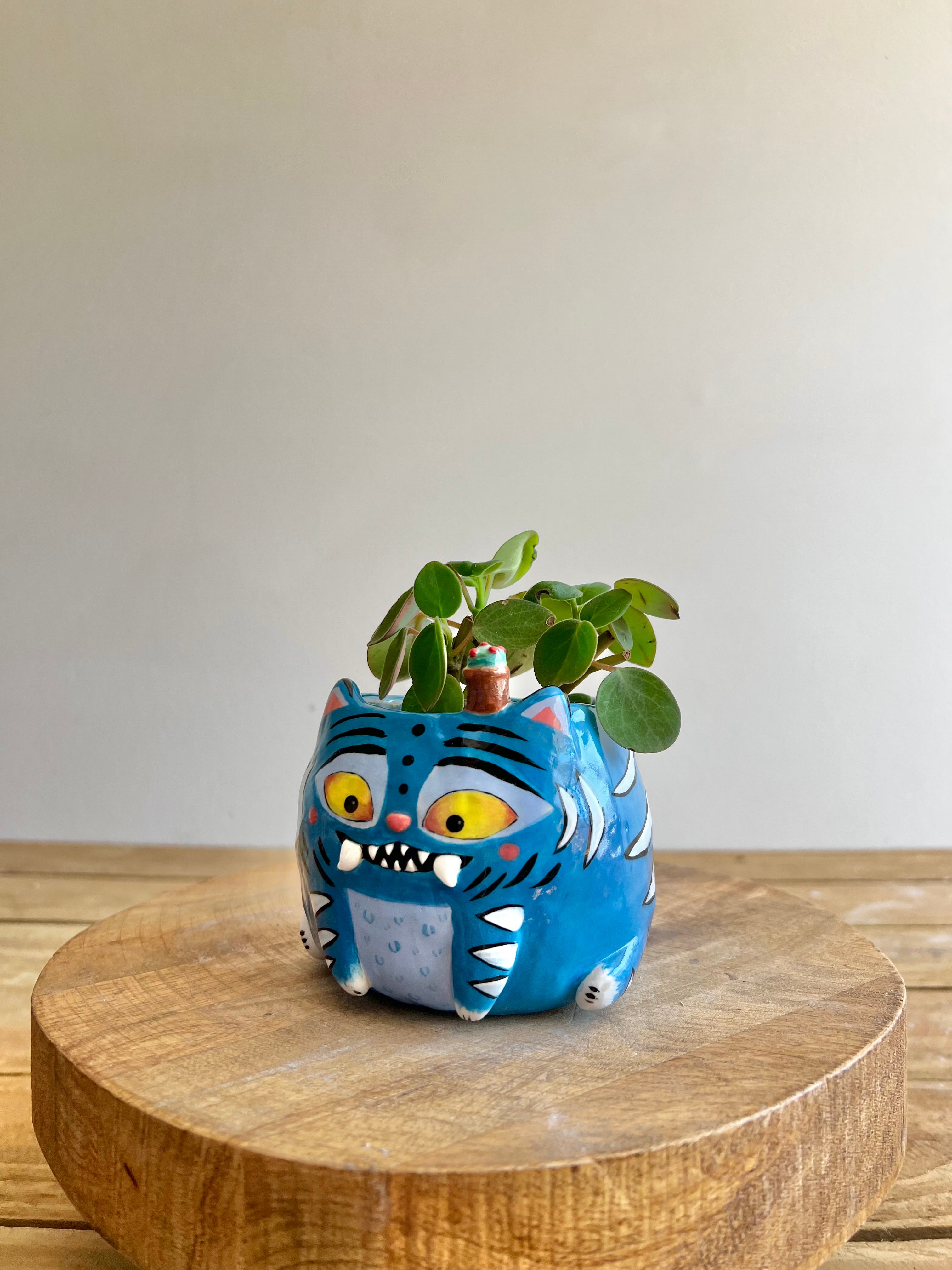 Small Derpy Pot