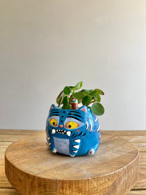 Small Derpy Pot