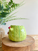 Flowery MULD Cactus pot #2