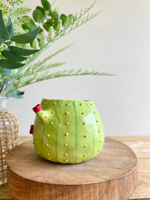 Flowery MULD Cactus pot #2