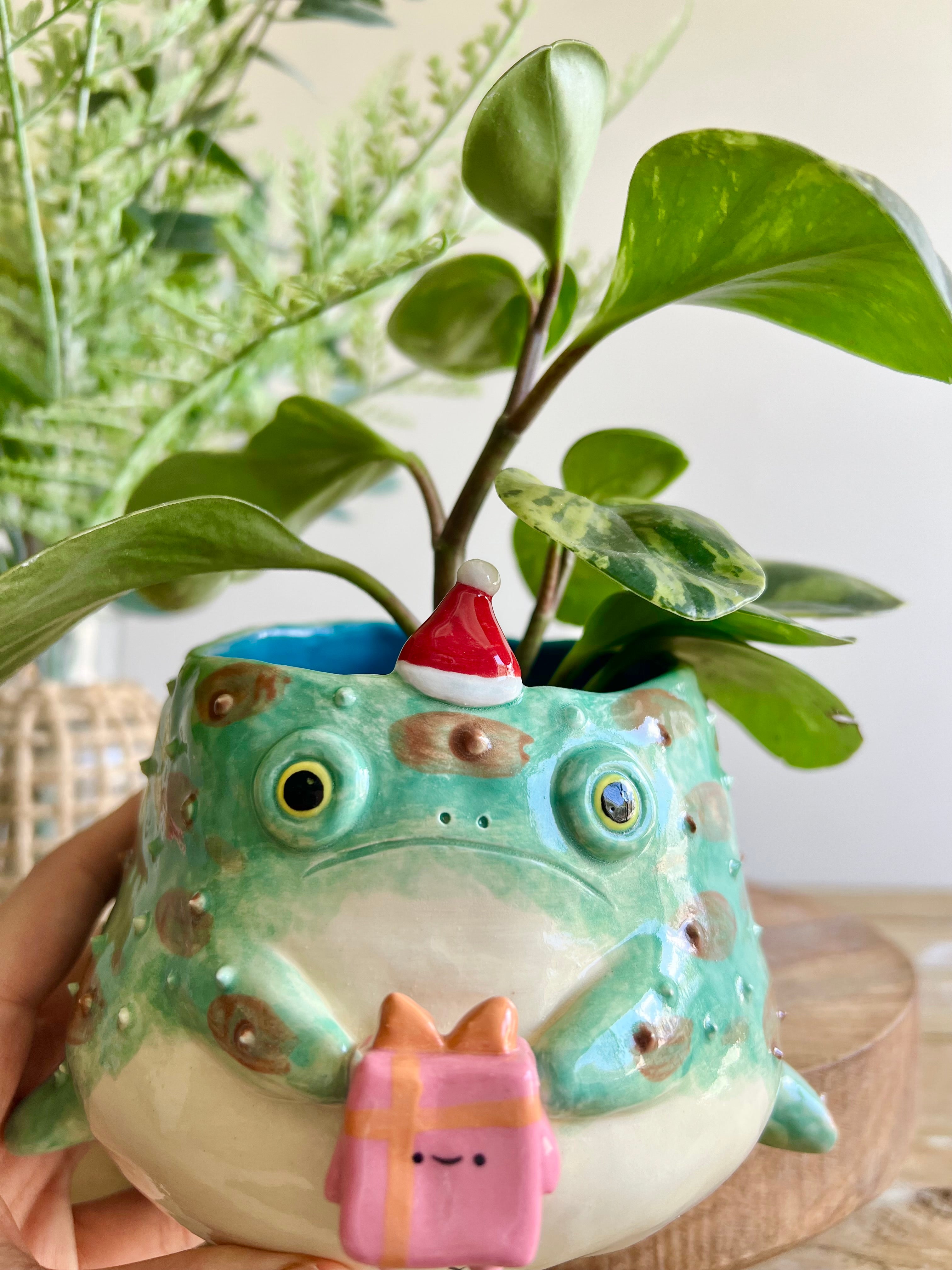 Festive grumpy Froggo planter bearing gift