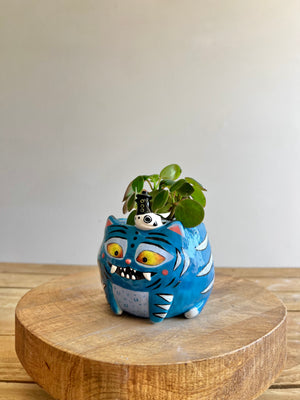 Small Derpy Pot