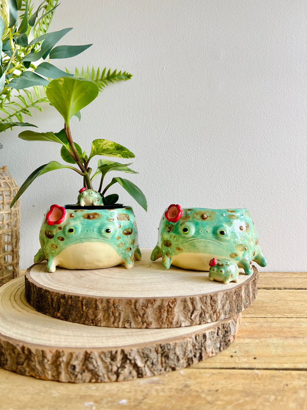 Grump froggo pot with BONUS mini grump friend #1, photo 8 of 8