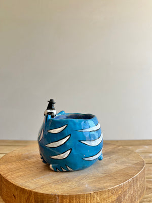 Small Derpy Pot