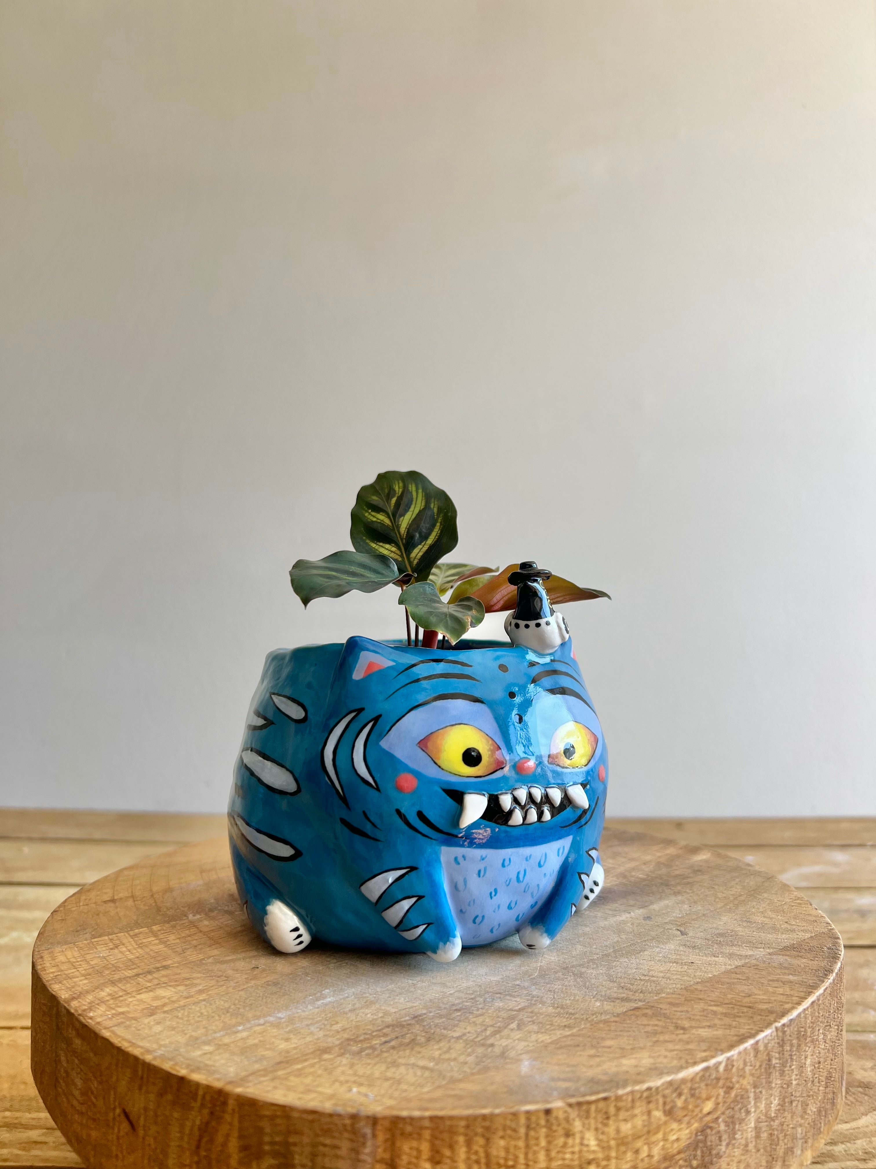 Large Derpy pot
