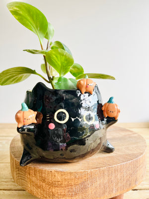 Black cat pot with pumpkin friends