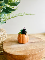 Pumpkin with black cat friend bud vase