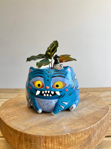 DERPY PREORDER