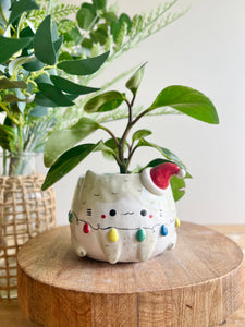 Festive grey cat pot adorned with Christmas lights