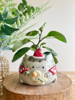 Festive grey cat pot with gingerbread friend