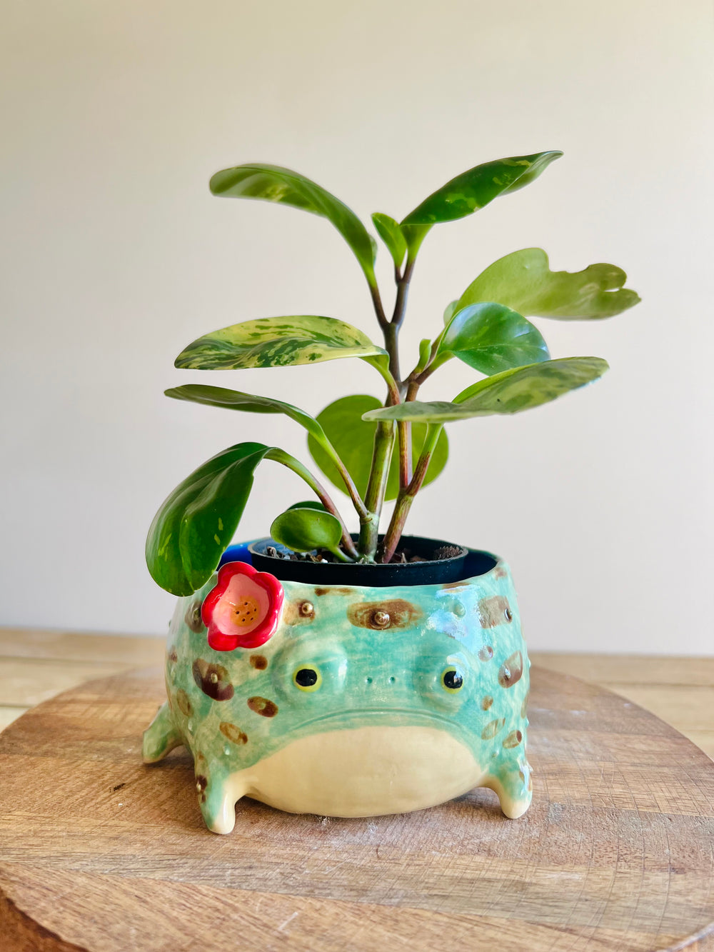 Grump froggo pot with BONUS mini grump friend #2, photo 1 of 8