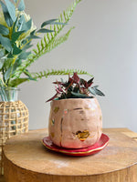 Bear planter and plate