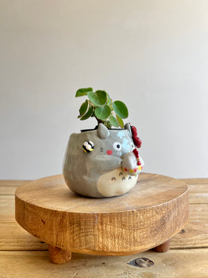 Planter pot