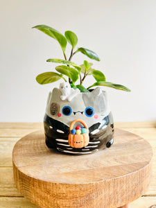 Trick or treat skeleton kitty pot