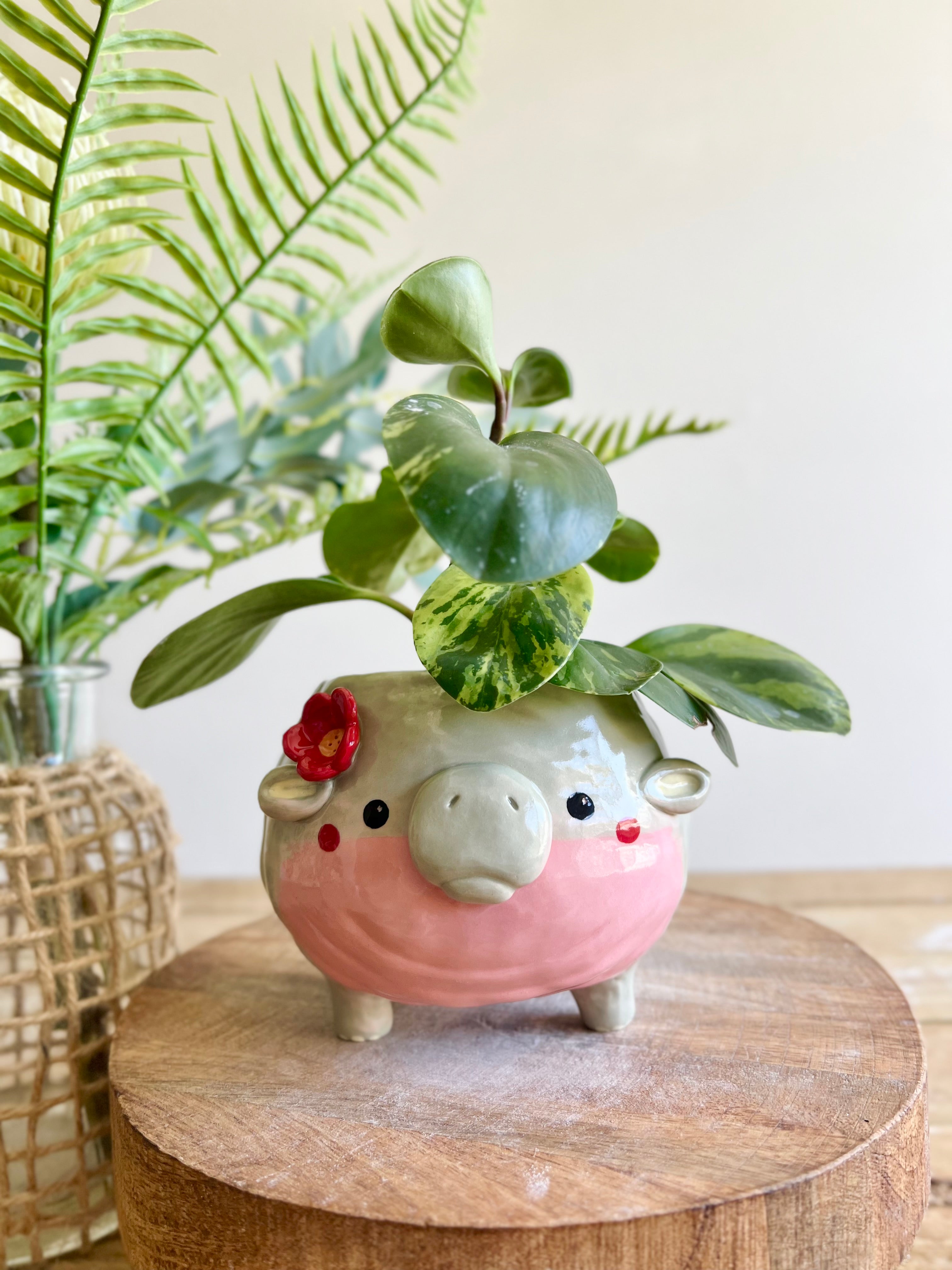 LARGE MOO DENG planter #2