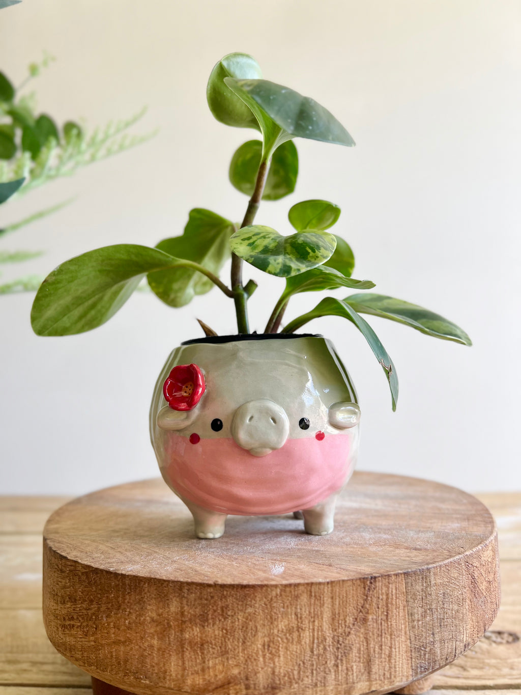 MOO DENG small planter #1