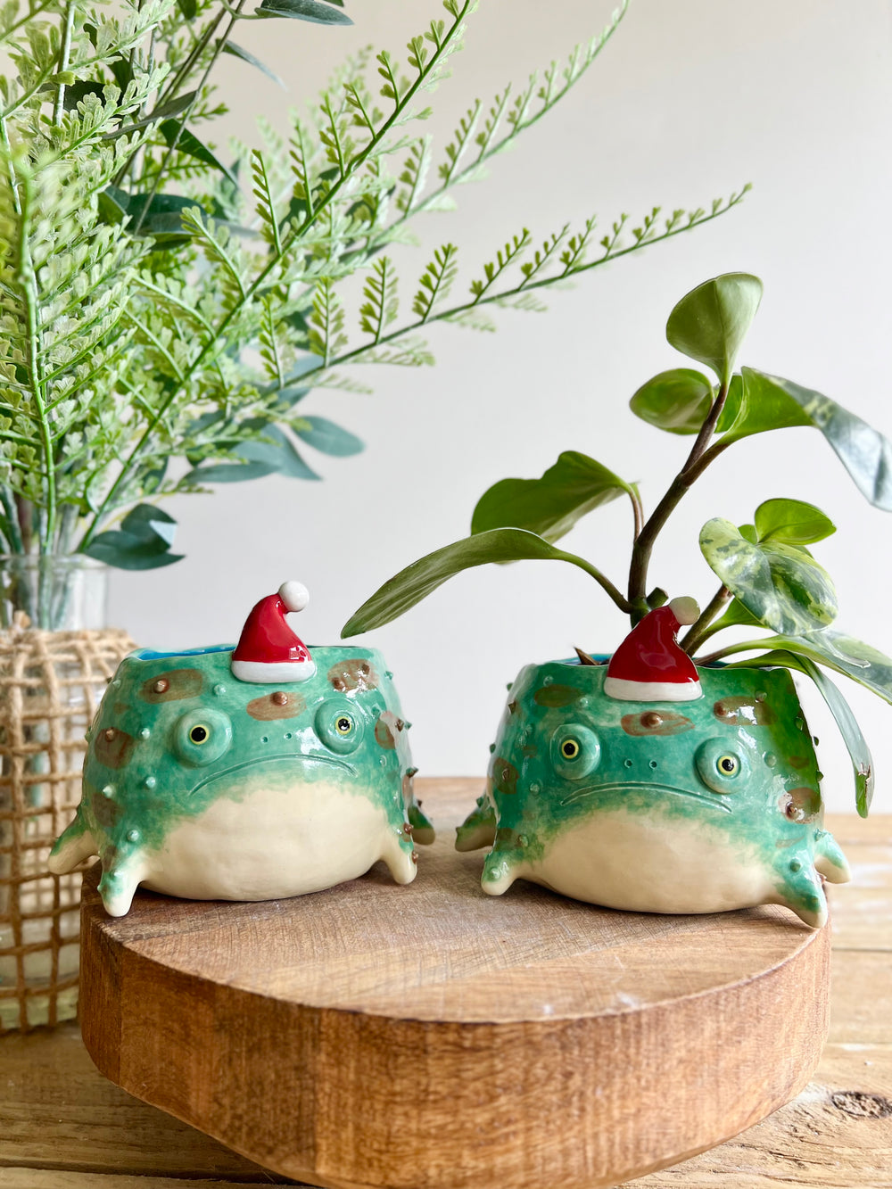 Festive grumpy froggo planter #1, photo 12 of 12