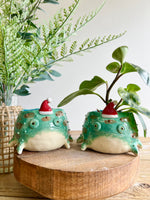 Festive grumpy froggo planter #1