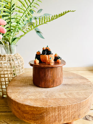 Pumpkin and black cats galore lidded trinket pot