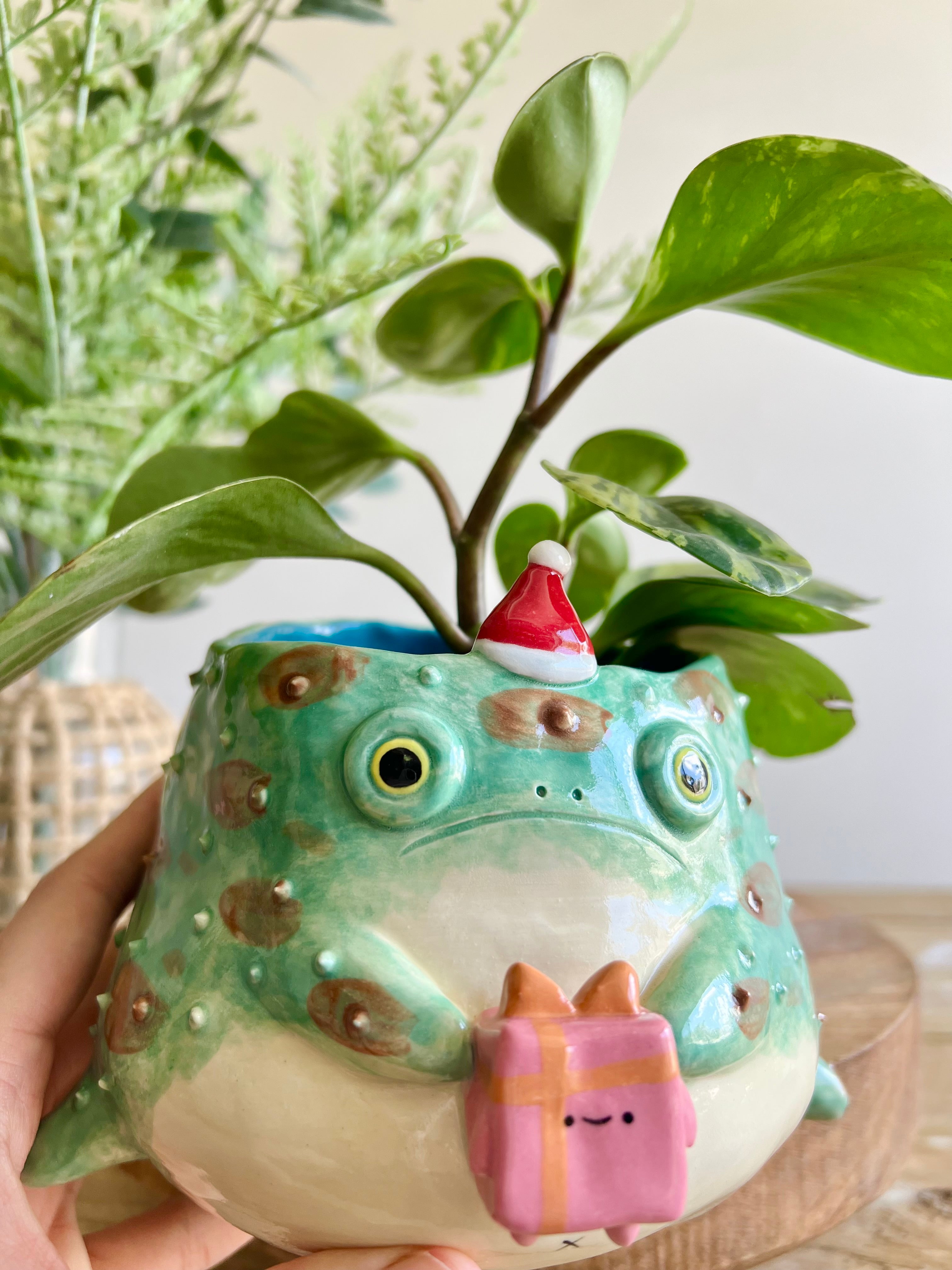 Festive grumpy Froggo planter bearing gift