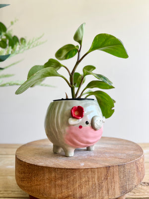 MOO DENG small planter #1