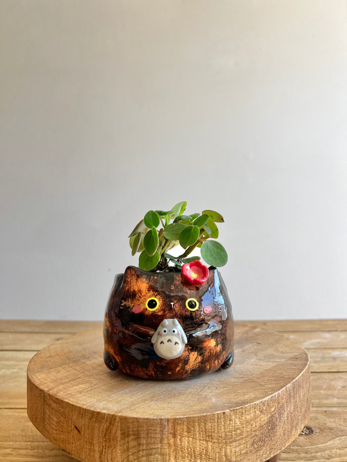 Tortie pot