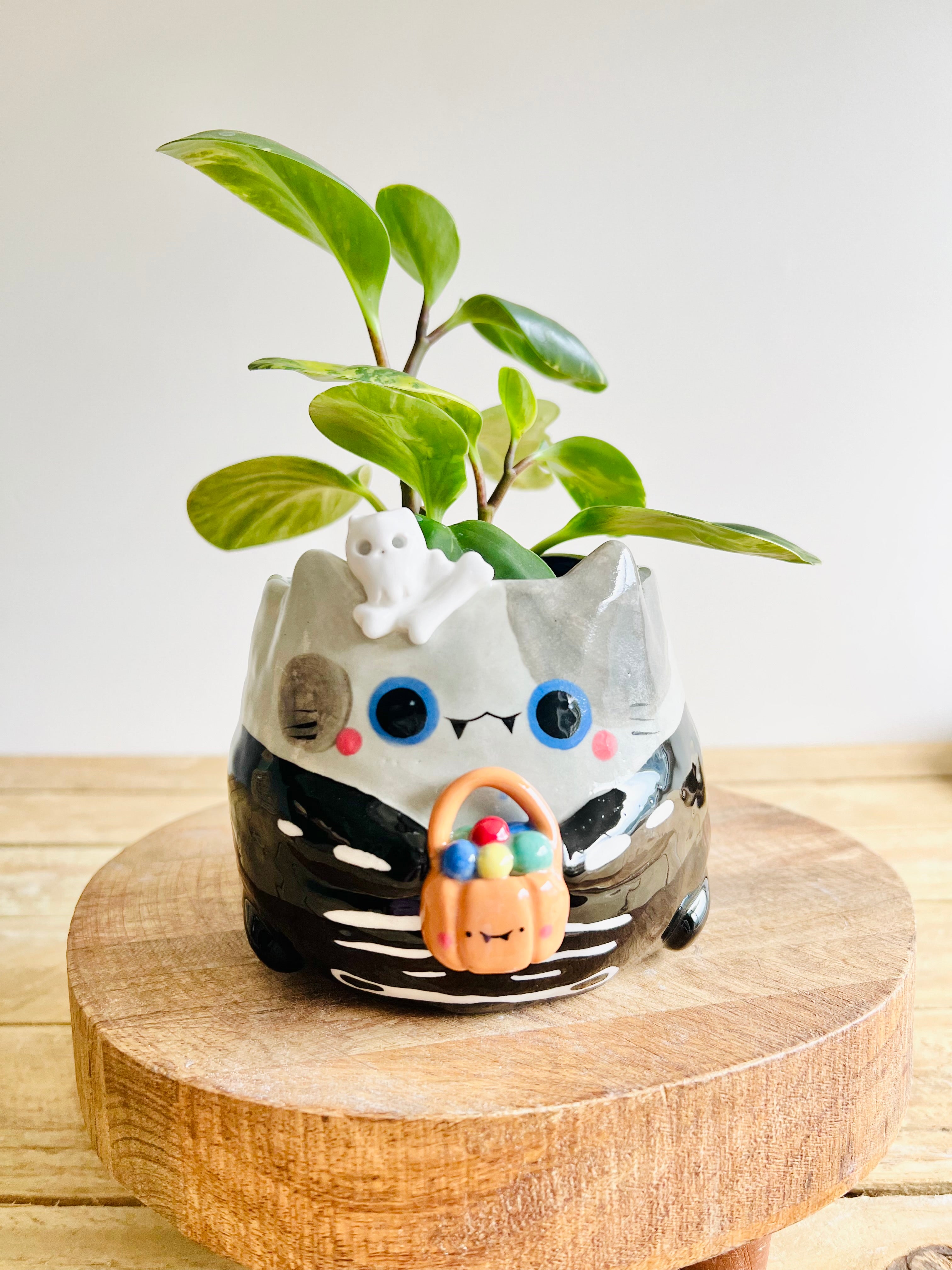 Trick or treat skeleton kitty pot