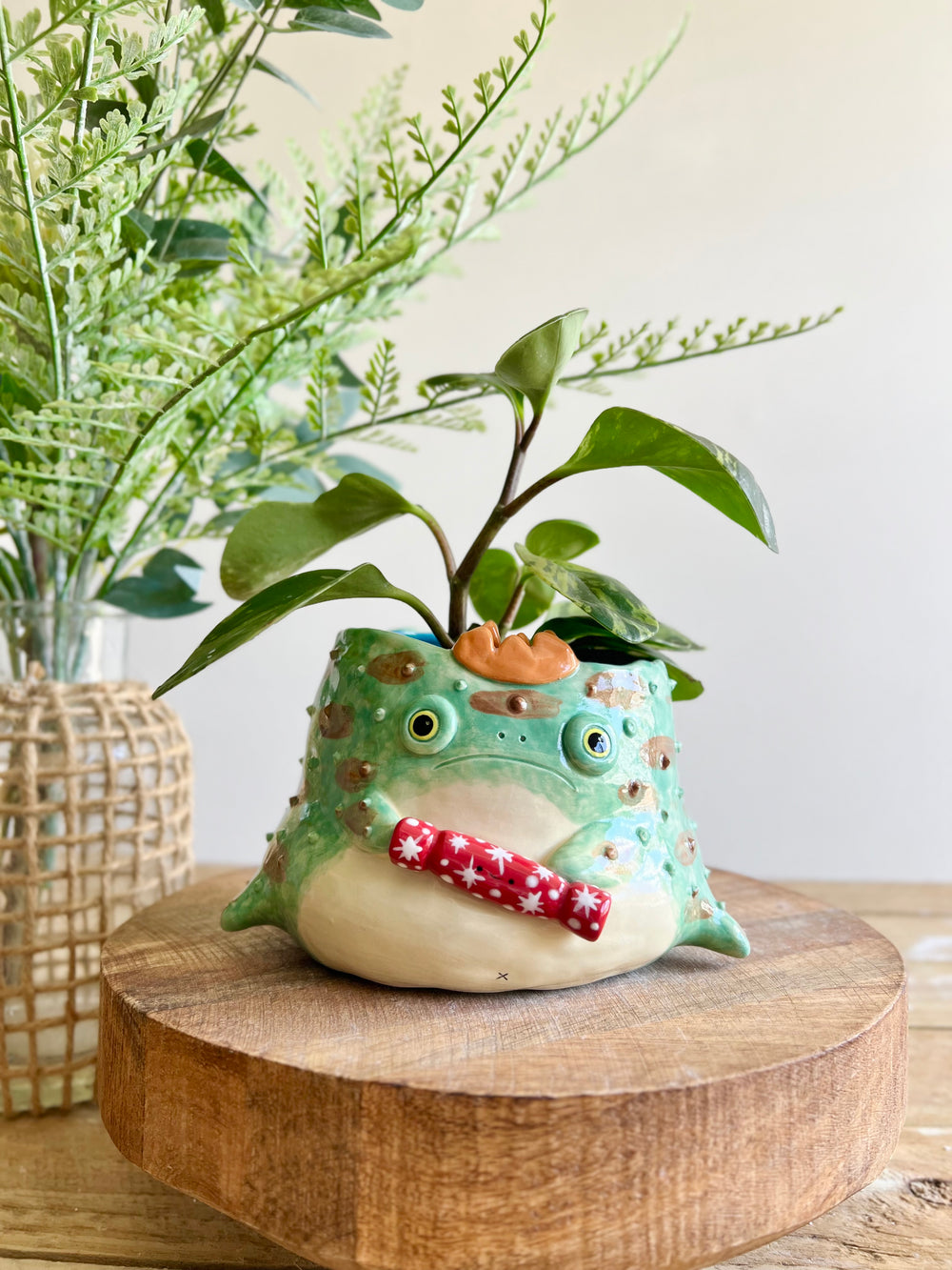 Festive grumpy Froggo planter cracks bon bon with you, photo 1 of 12