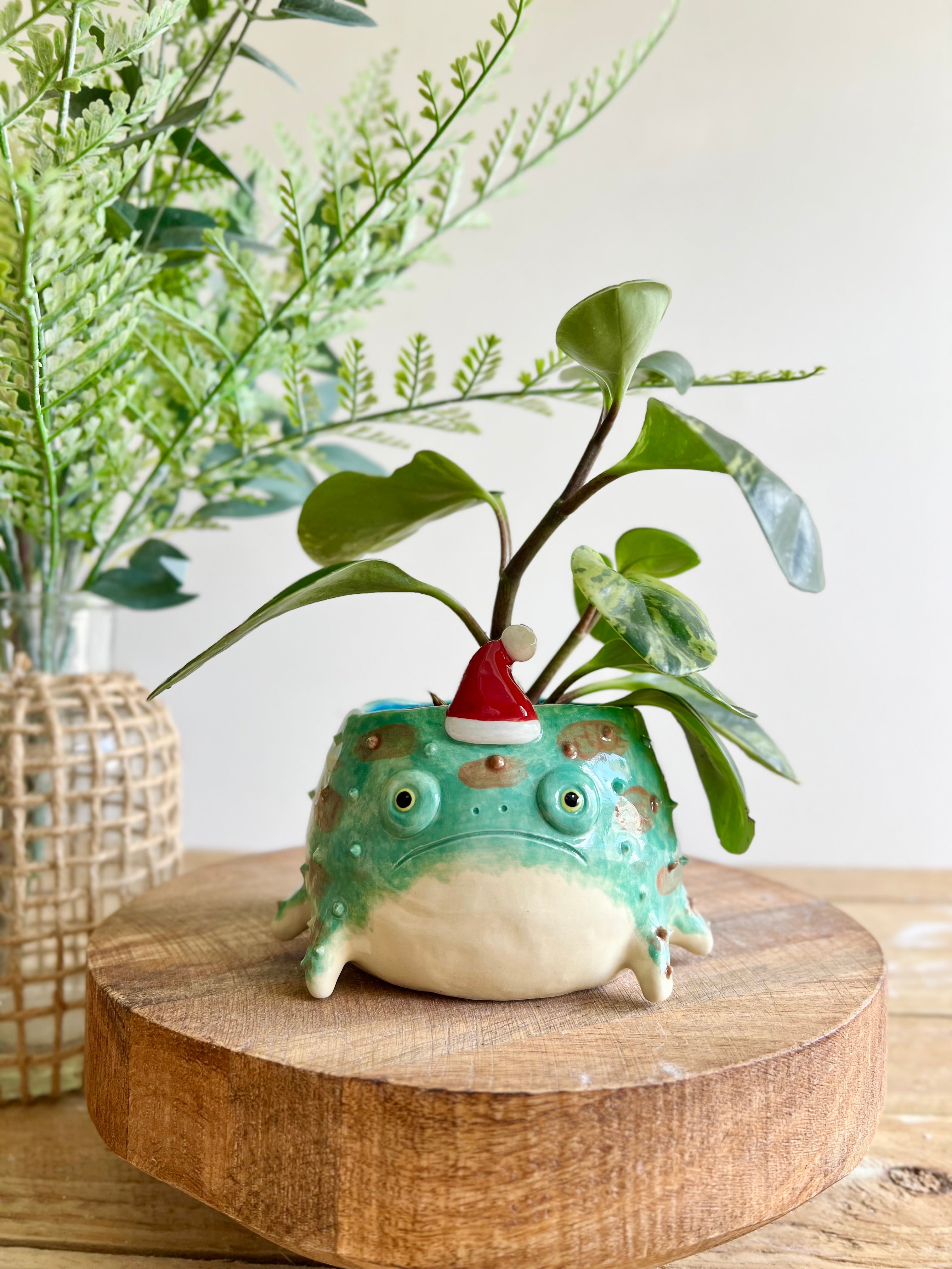 Festive grumpy Froggo planter #2