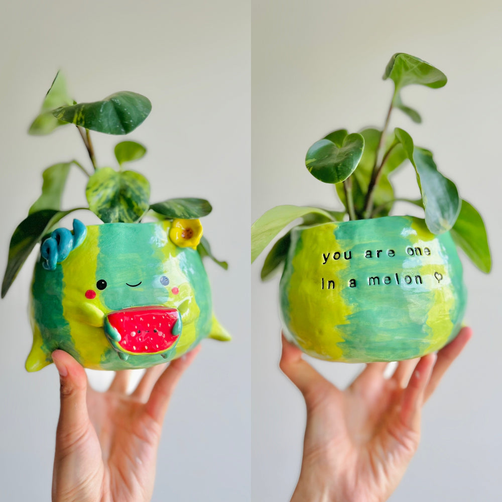 One in a melon pun love watermelon pot, photo 10 of 14