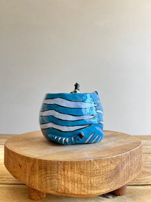 Large Derpy pot