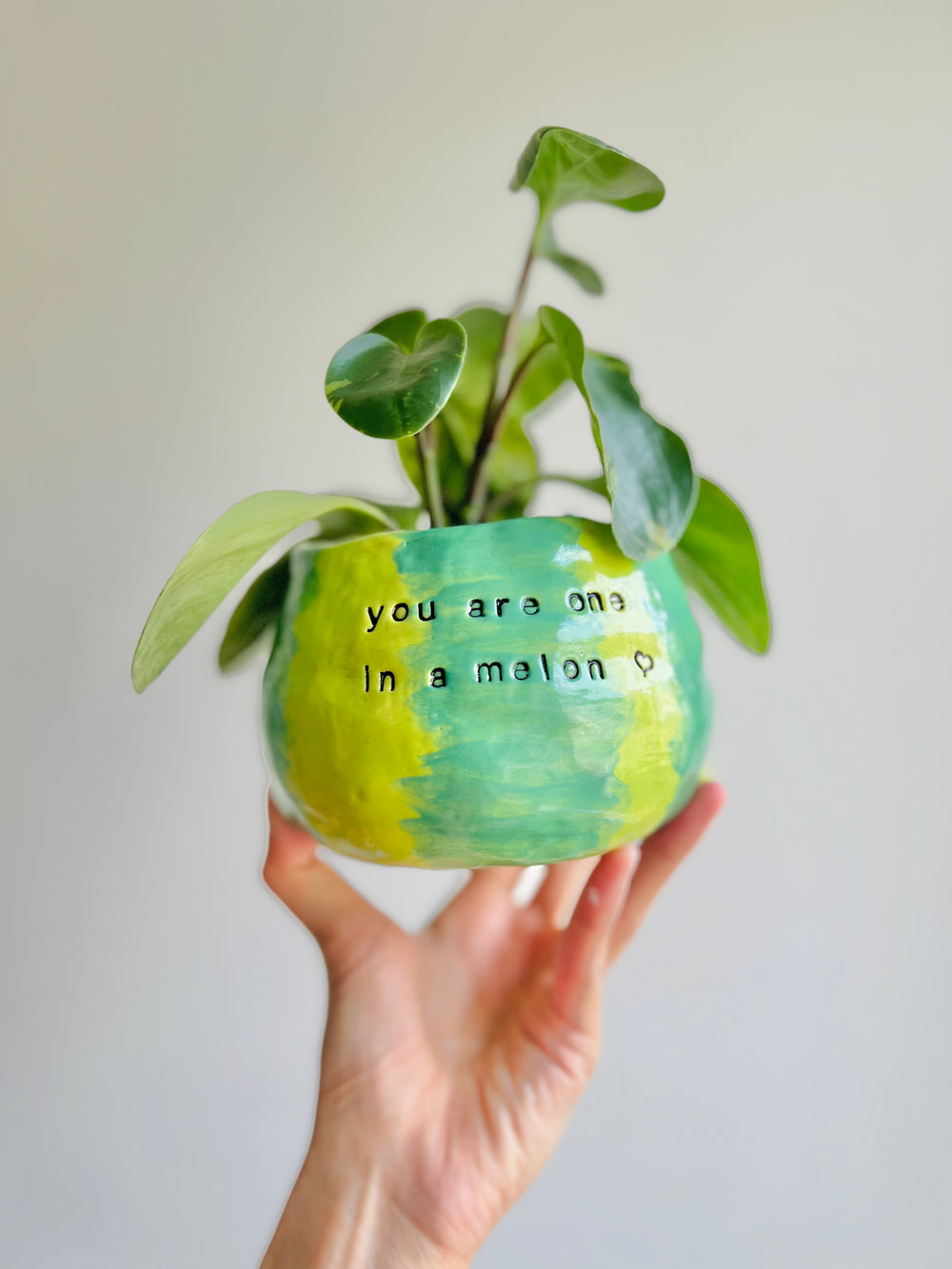 One in a melon pun love watermelon pot, photo 12 of 14