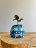 Large Derpy pot