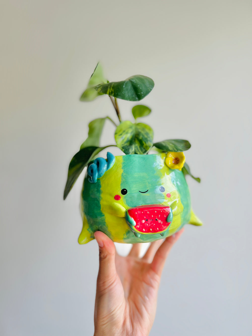 One in a melon pun love watermelon pot, photo 11 of 14