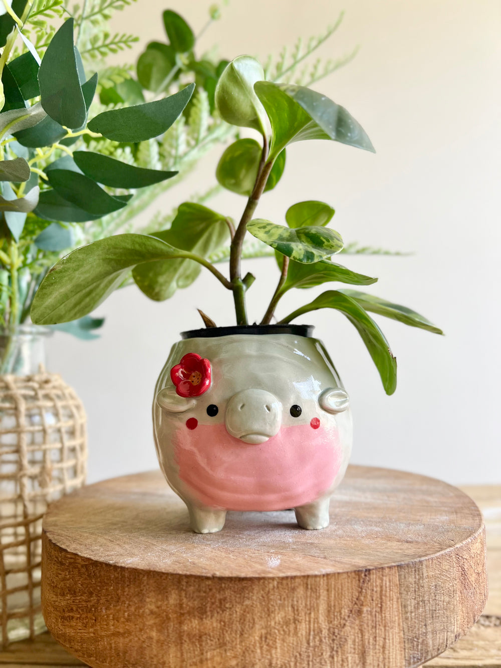 MOO DENG small planter #5, photo 1 of 12