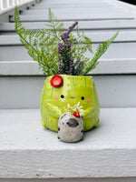 2in1 Cactus pot with grey cat vase friend