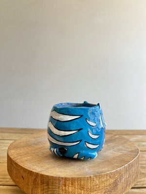 Small Derpy pot
