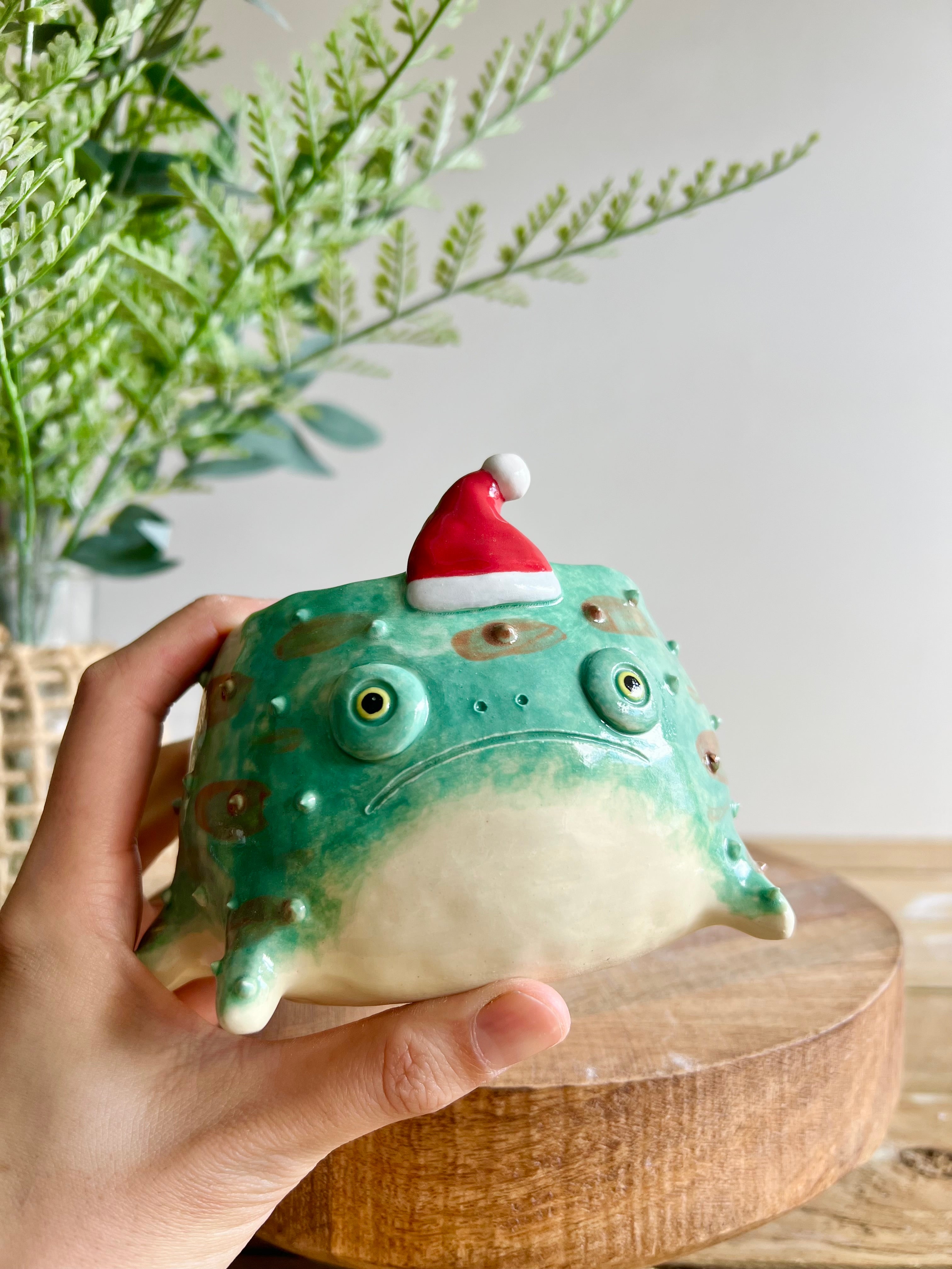 Festive grumpy froggo planter #1