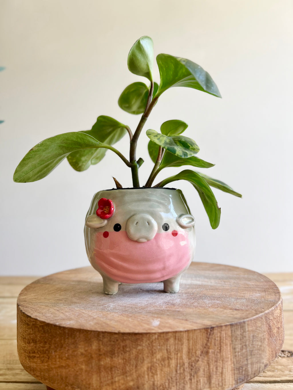 MOO DENG small planter #2