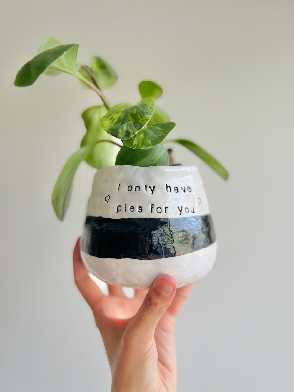 Pie love pun panda pot, photo 12 of 14