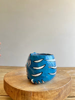 Small Derpy pot