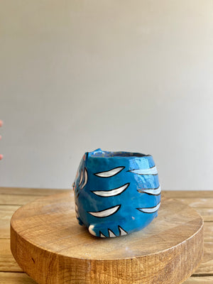 Small Derpy pot