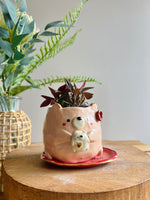 Bear planter and plate