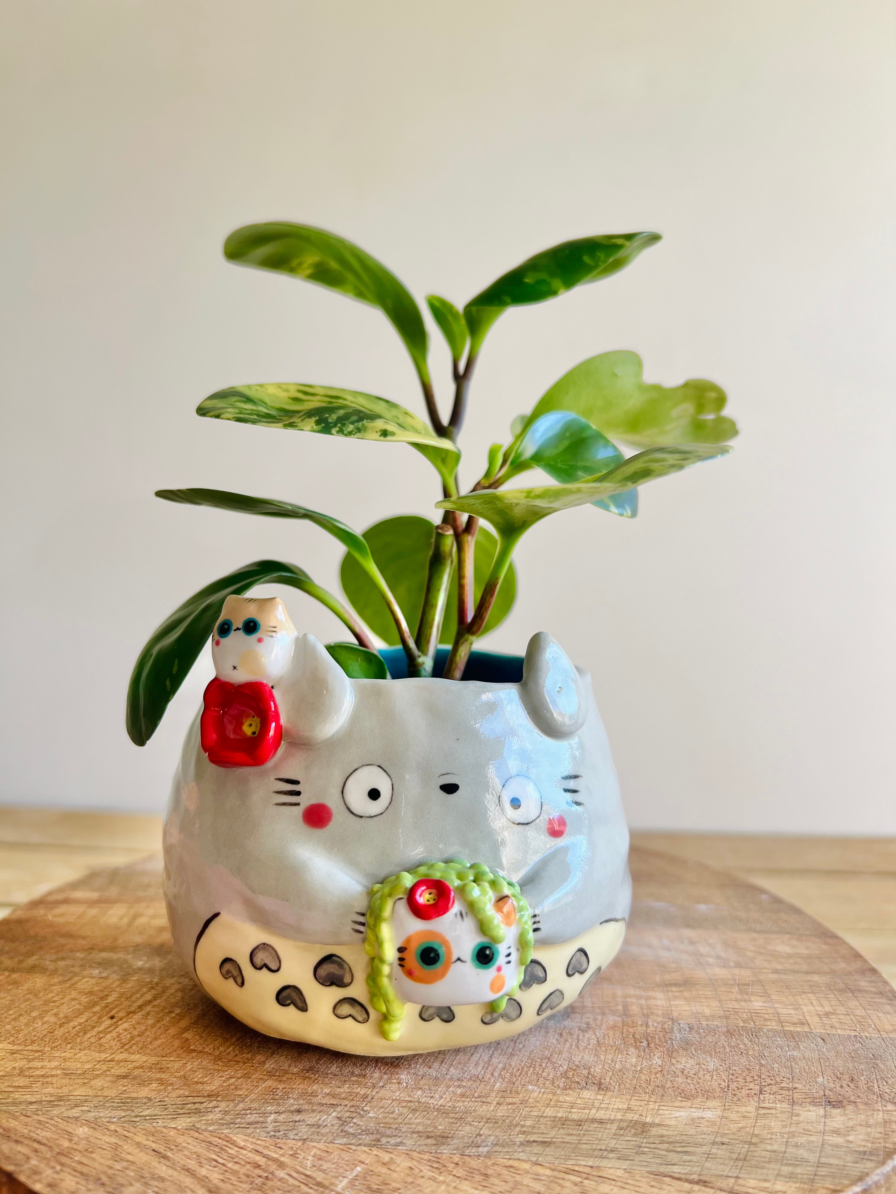 Totoro pot with cat pot and friend (string of pearls)