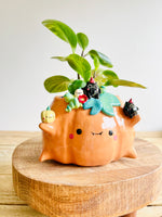 Pumpkin pot with black cat and baby pumpkin friends