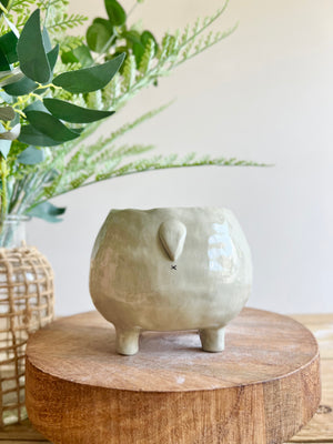 LARGE MOO DENG planter #1