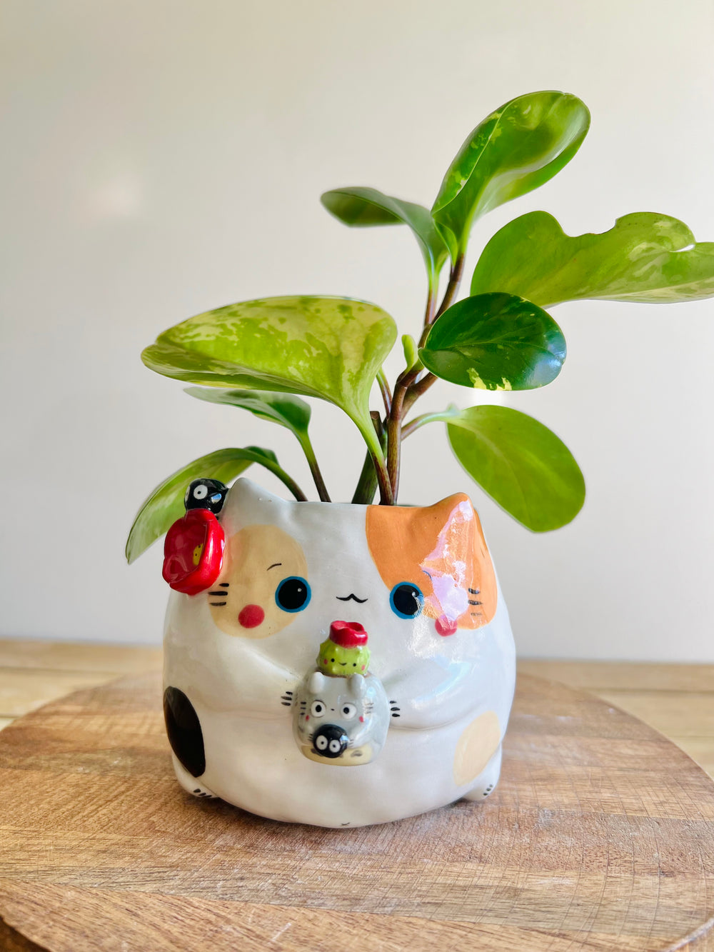 Cat pot with Totoro pot, photo 1 of 7